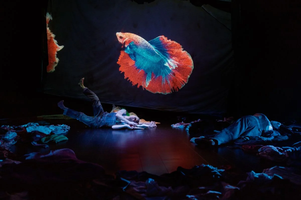 Pinocchio, o el espectáculo de la paternidad - Teatre Akadèmia | © Felipe Mena