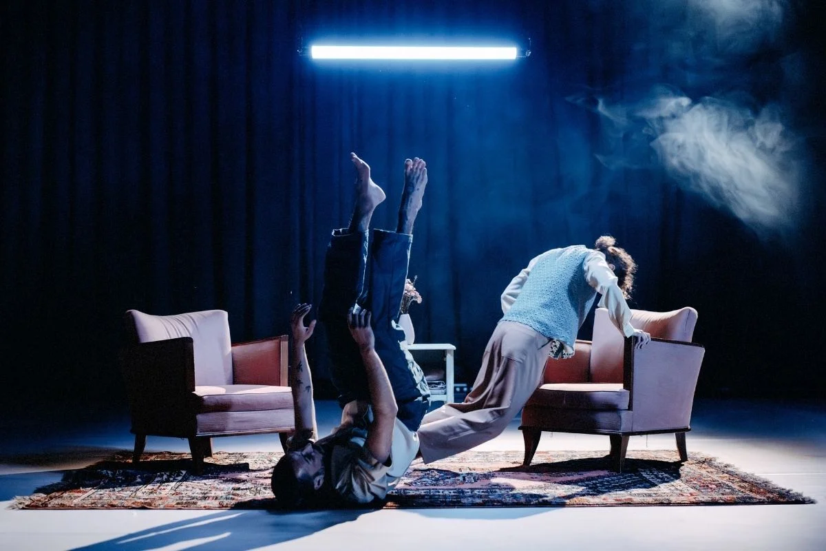 BirdsLAND - Teatre Akadèmia | © Nicolas Clausen