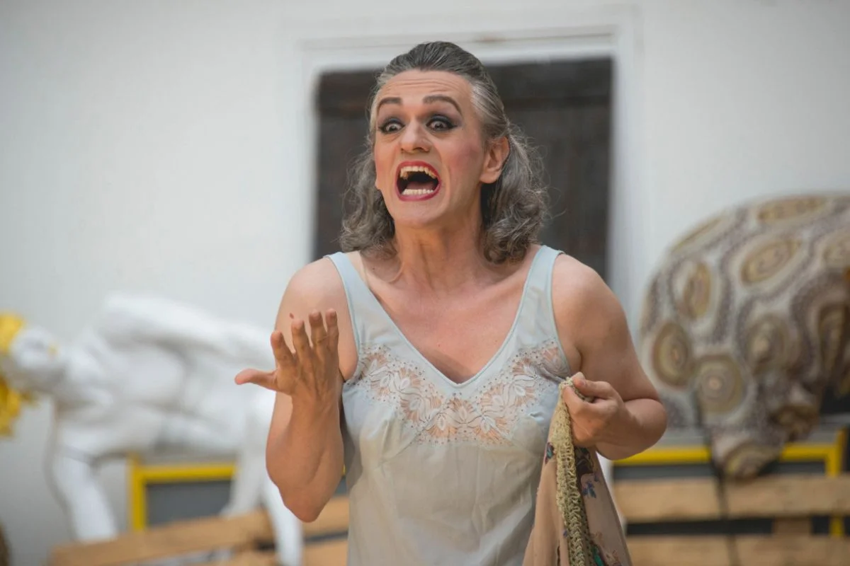 A mi no me escribió Tennessee Williams (porque no me conocía) - Teatre Akadèmia