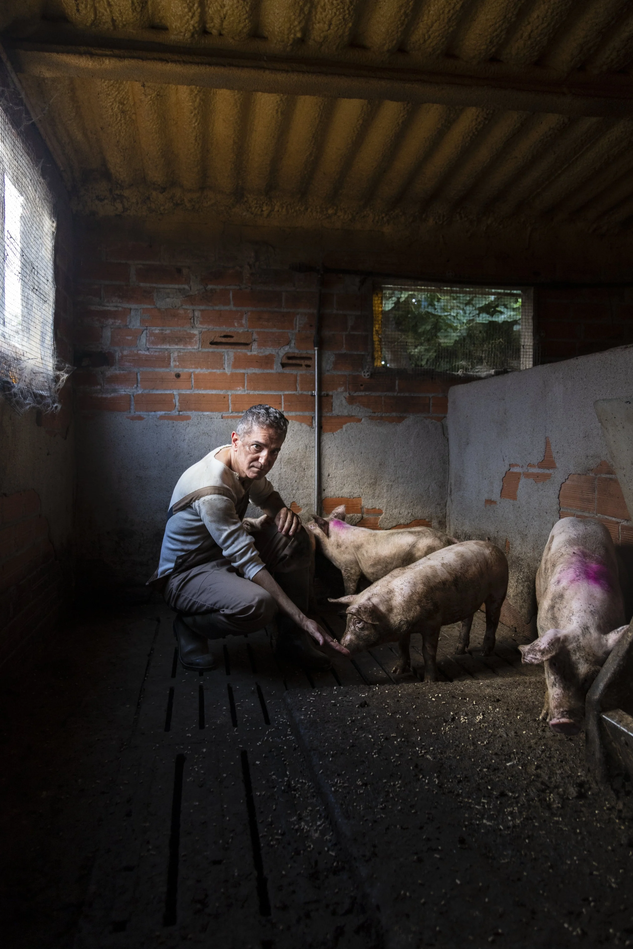 El lladre de llibretes | © Mireia Tor