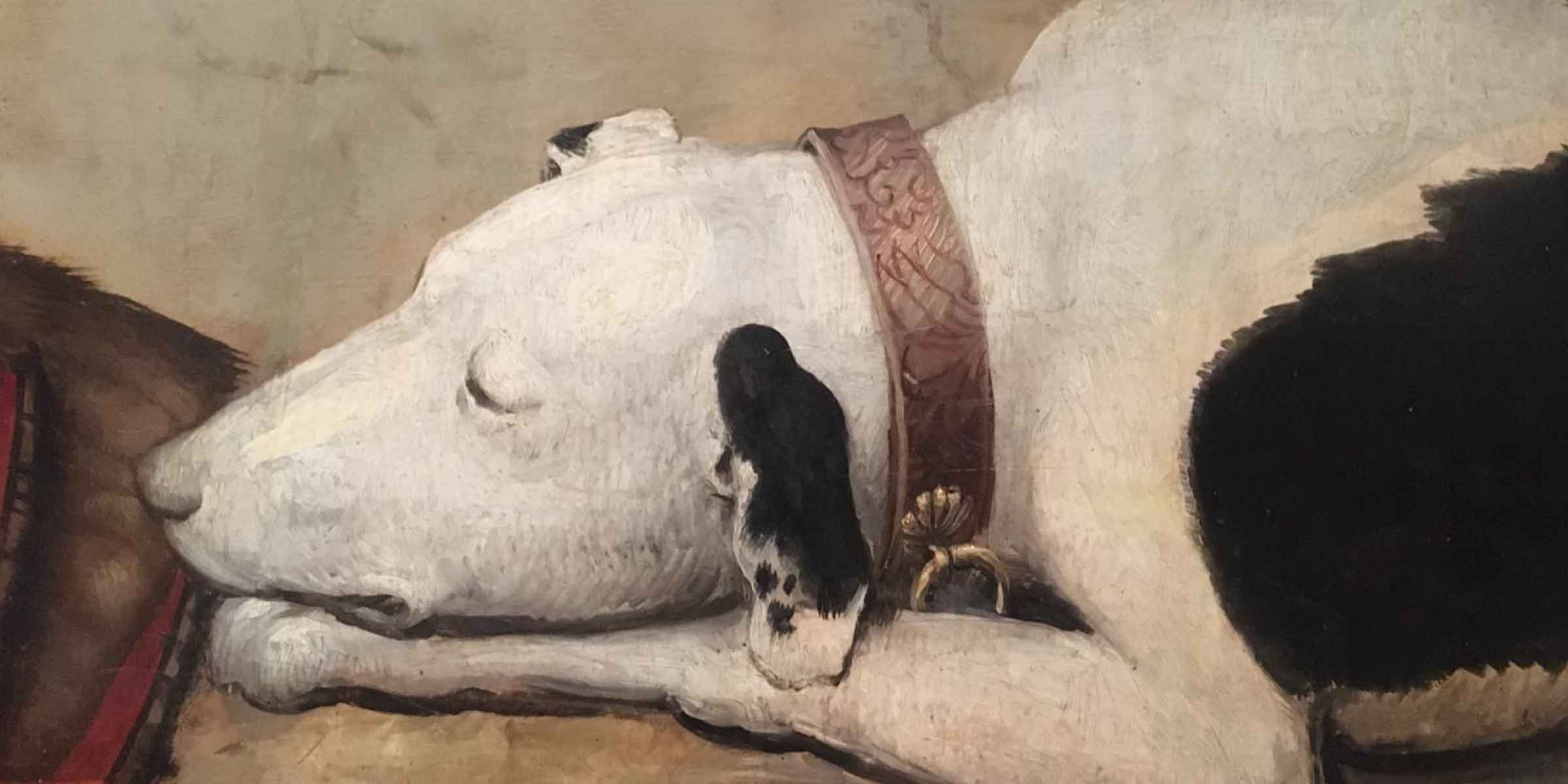 M'hauríeu de pagar | © Ayne Bru